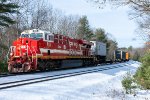 Fire Engine red in the White Snow